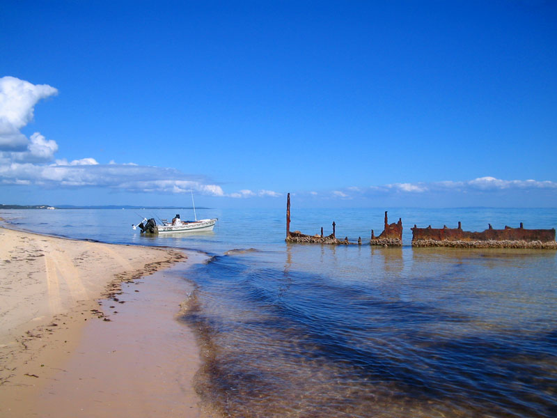 Moreton Bay