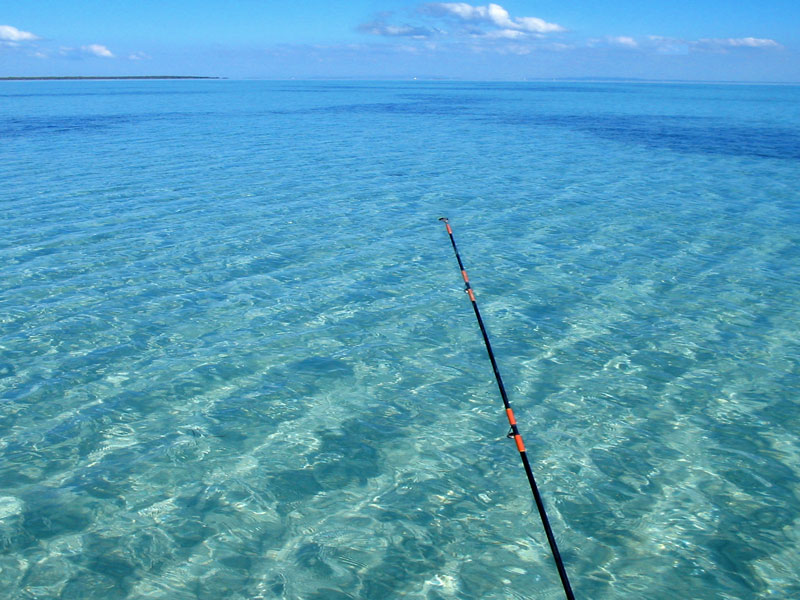 Moreton Bay