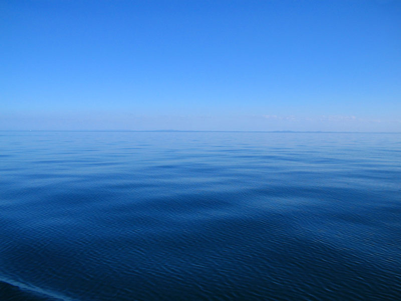 Moreton Bay