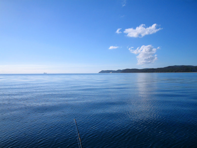 Moreton Bay